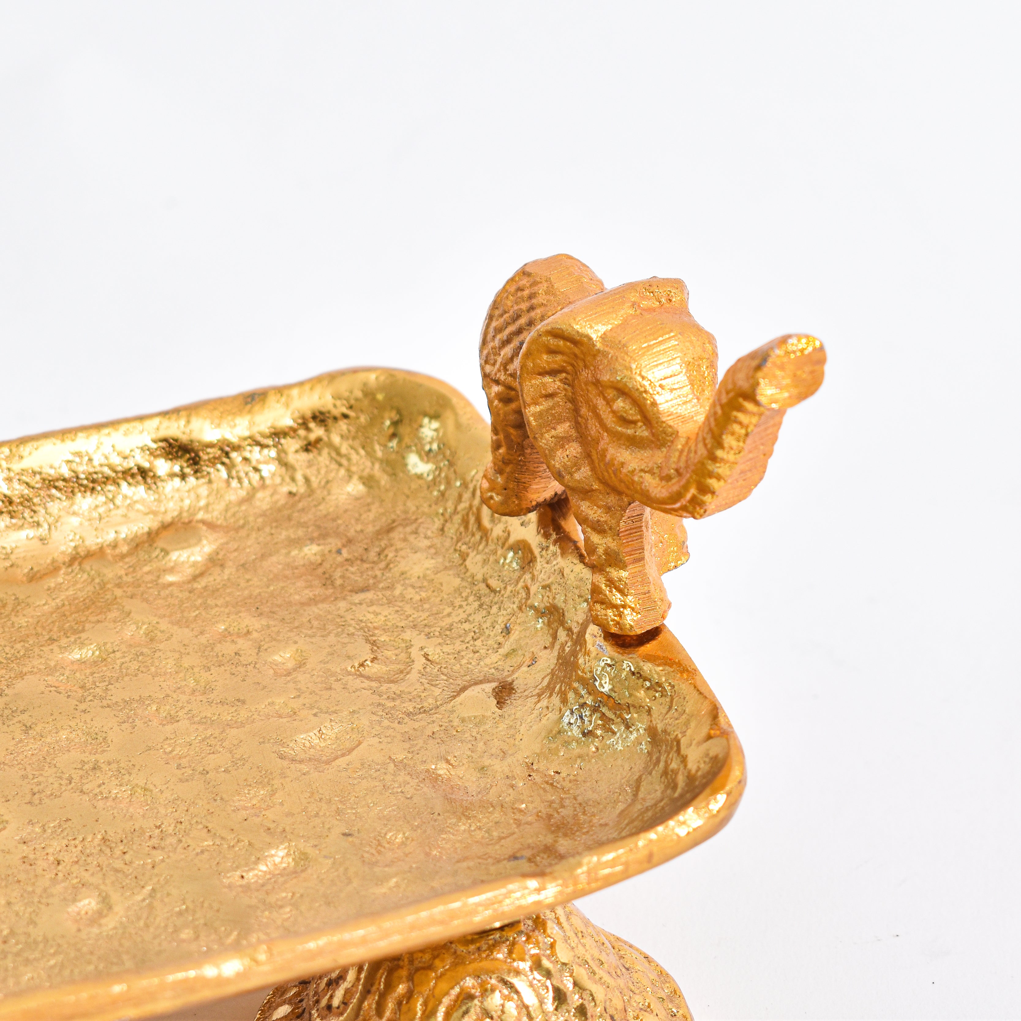 Gold Trunk of Tradition, Hazelnut & Pages