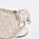 Silver Trunk of Tradition, Hazelnut & Pages
