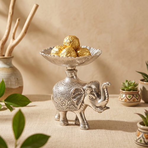 Elephant with a tiny plate on his bump