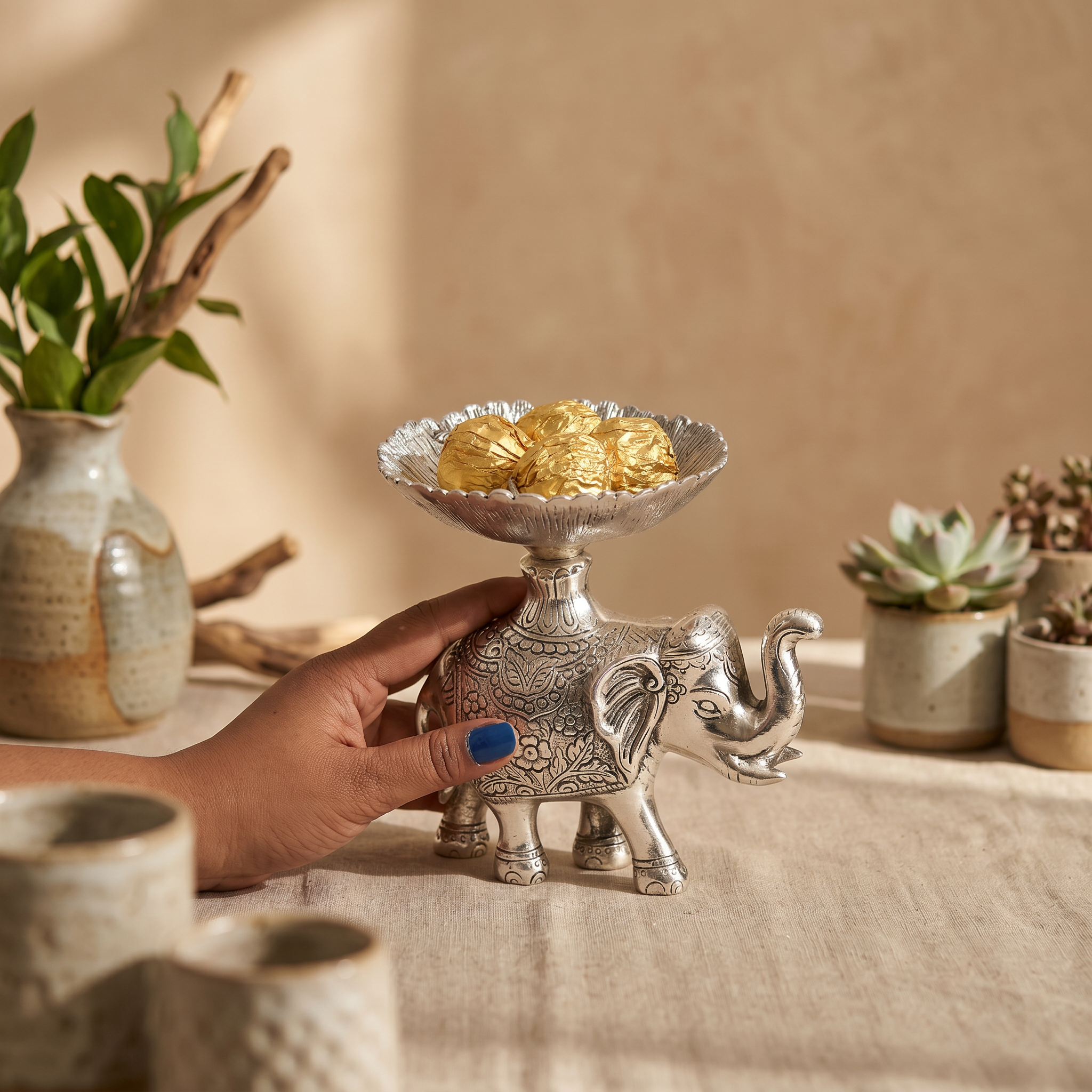 Elephant with a tiny plate on his bump