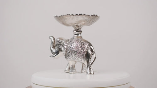 Plated Elephant, Praline & Pages