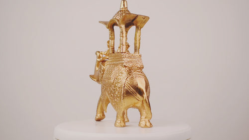 Golden Regal Metal, Hazelnut & Chapters